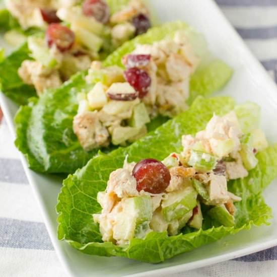 Chicken and Apple Salad Lettuce