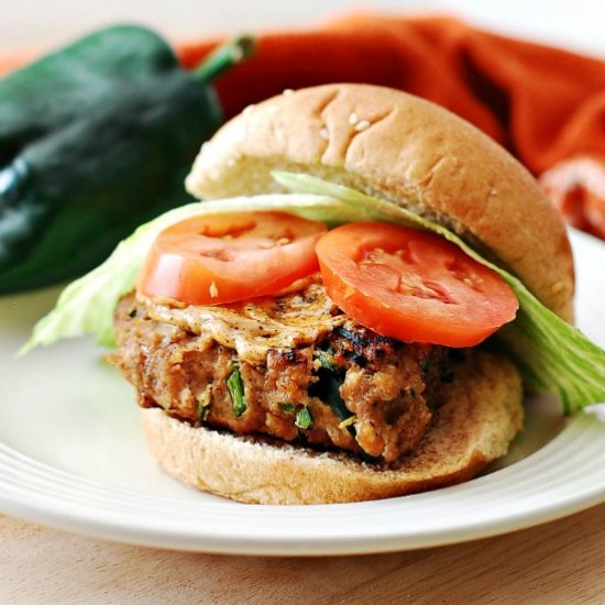 Southwest Turkey Burgers