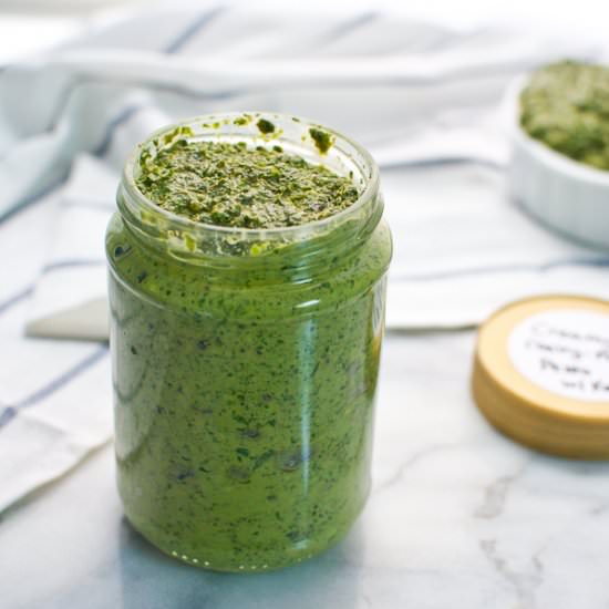 Creamy Vegan Kale Pesto