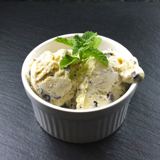 Mint Chocolate Chunk Ice Cream