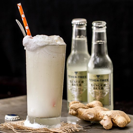 Ginger Beer Float