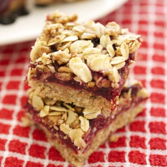 Berry Bars