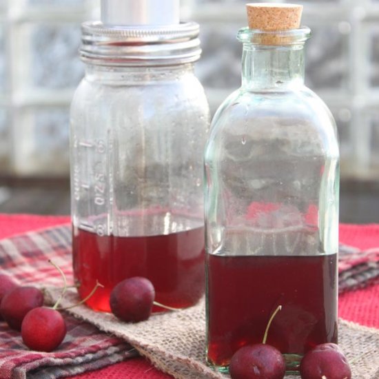 DIY Cherry Vodka/Cherry Vinegar