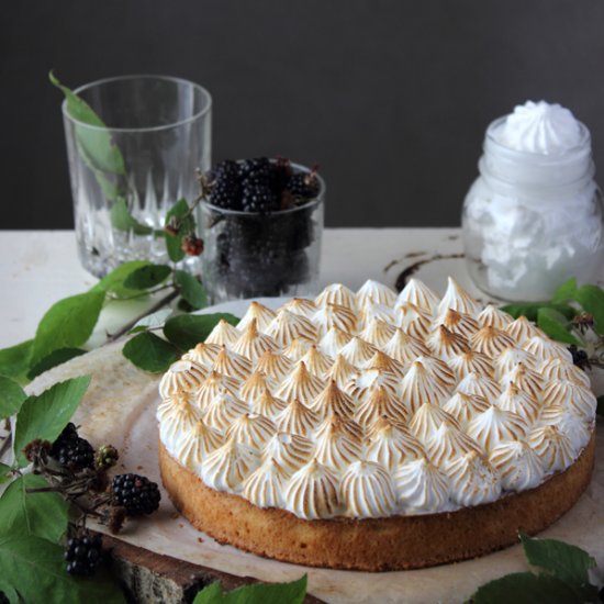 Blackberry Meringue Tart