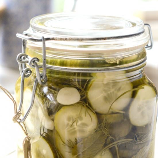 Pickled Cucumbers