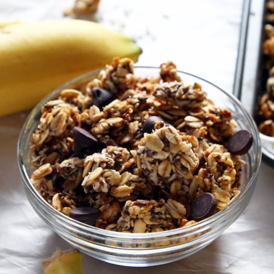 Healthy Banana Coconut Granola