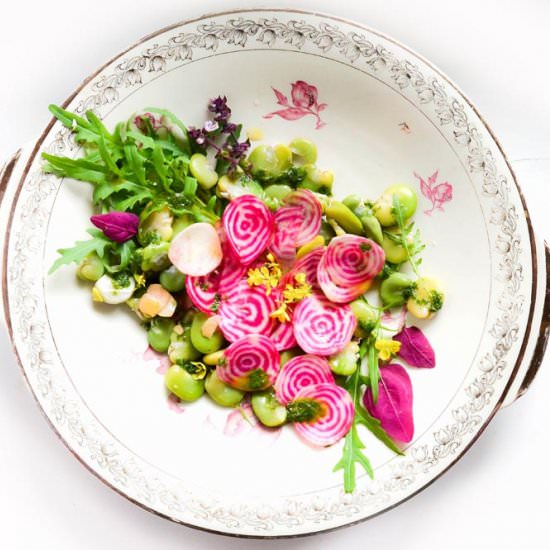 Chioggia Beets and Fave Salad