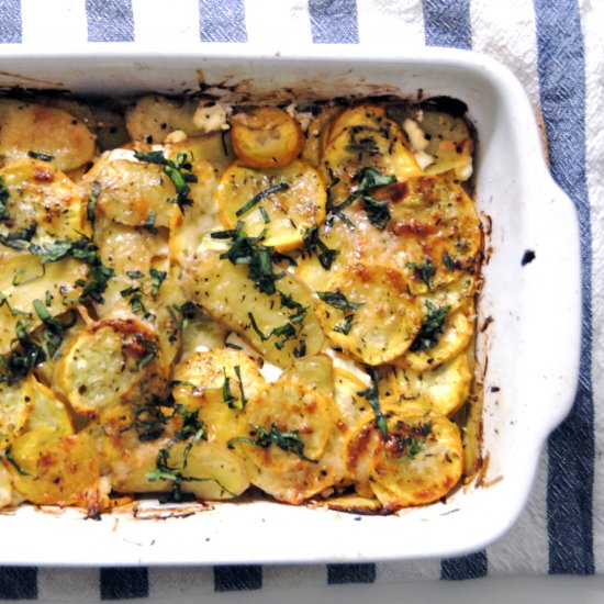 Summer Squash Gratin