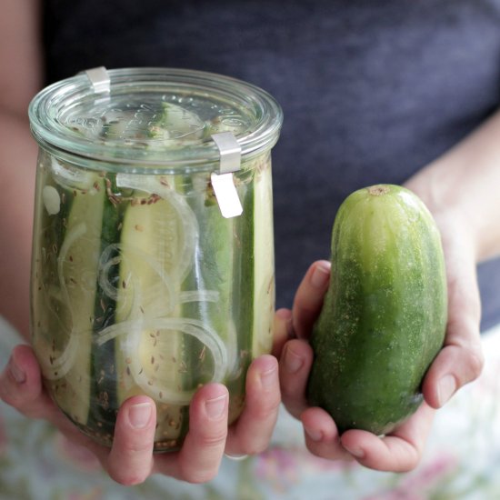 Homemade Refrigerator Pickles