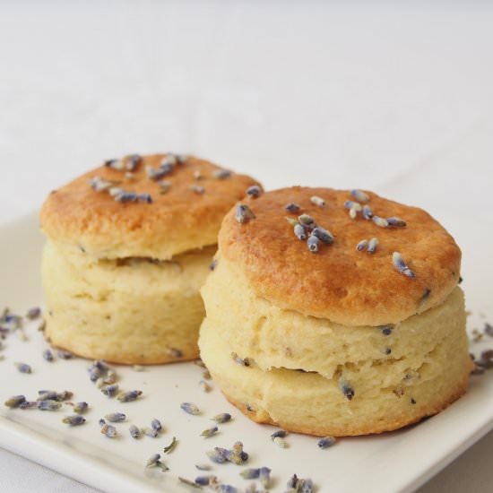 Lavender Buttermilk Scones