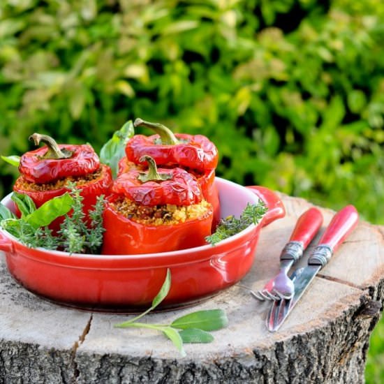 Stuffed Pepper with an Eggplant