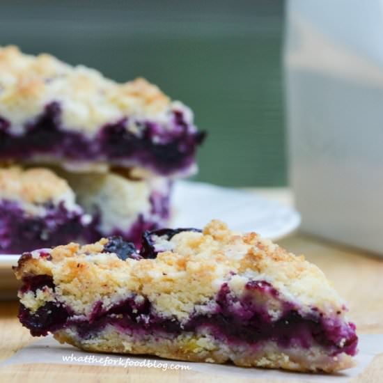 Blueberry Crumb Bars