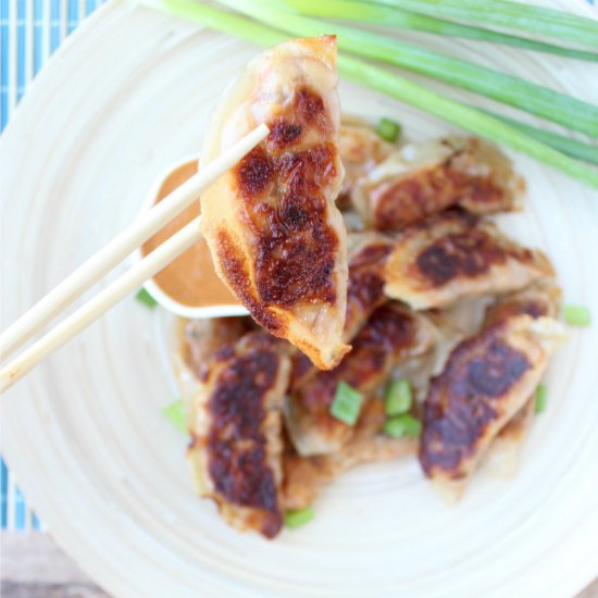 Thai Peanut Chicken Pot Stickers