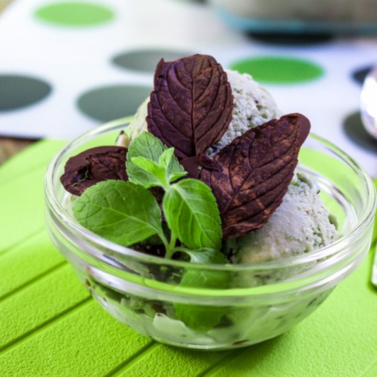 Fresh Mint Stracciatella Ice Cream