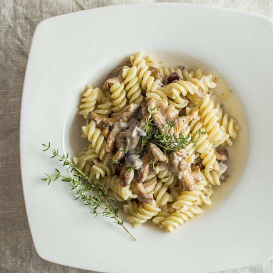 Creamy chanterelle sauce pasta