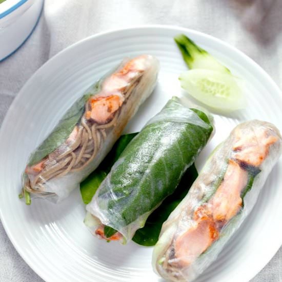 Salmon summer rolls