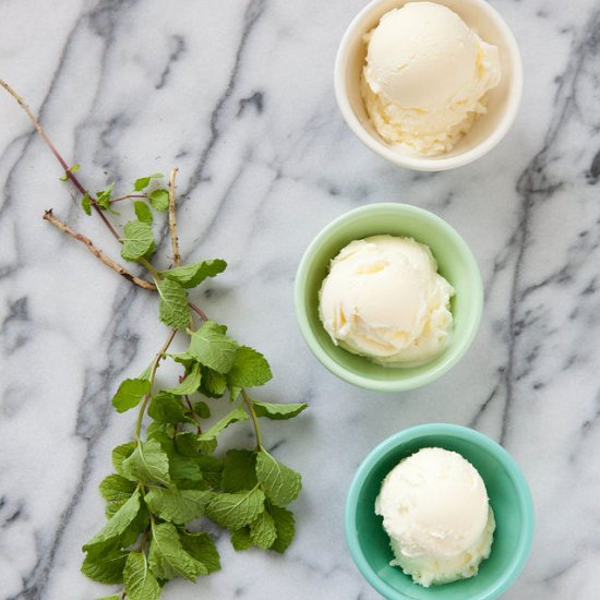 Backyard Mint Ice Cream