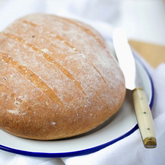 Wholewheat beer bread