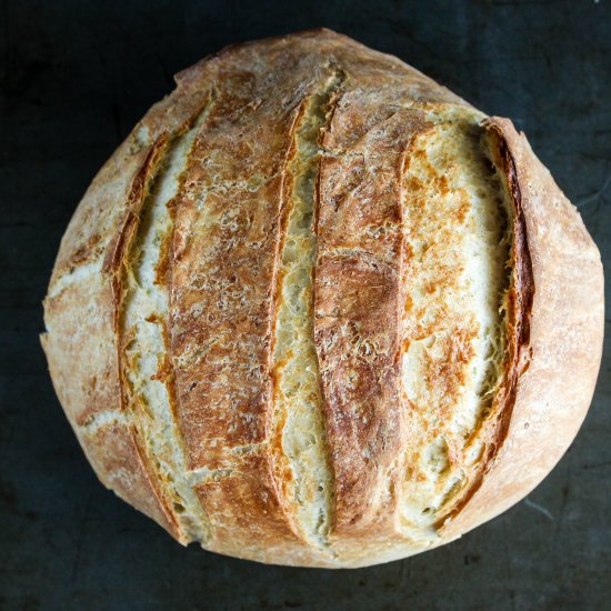 Dutch oven bread