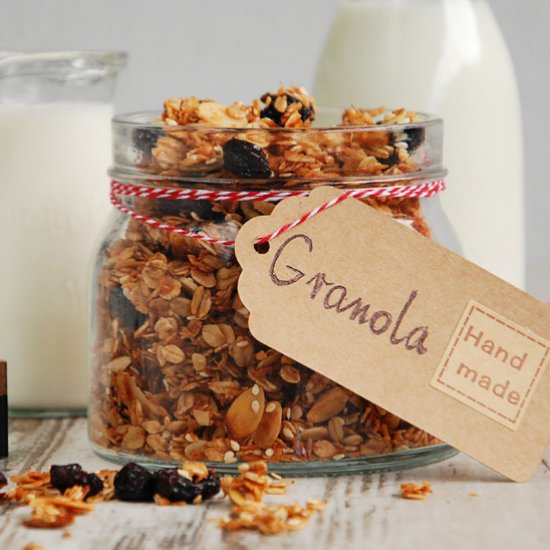 Homemade Granola with Cranberries