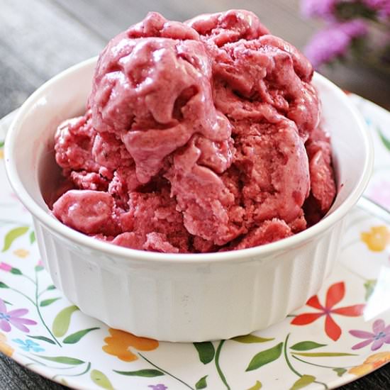 Homemade Strawberry Ice Cream