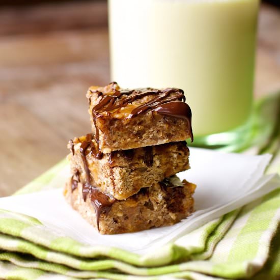 Chocolate-Pecan Apple Bars