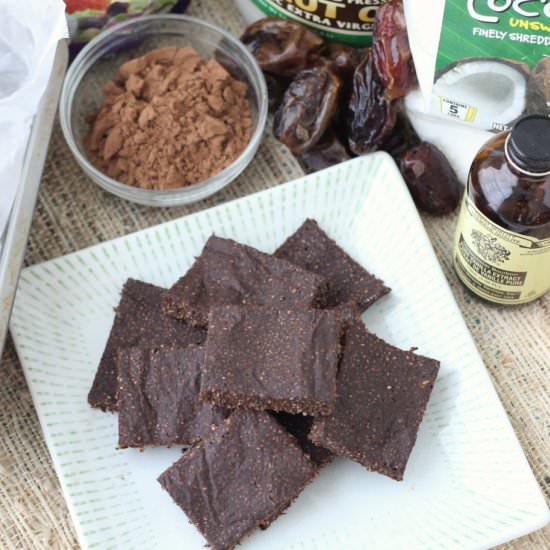 Chocolate Coconut Chia Bars