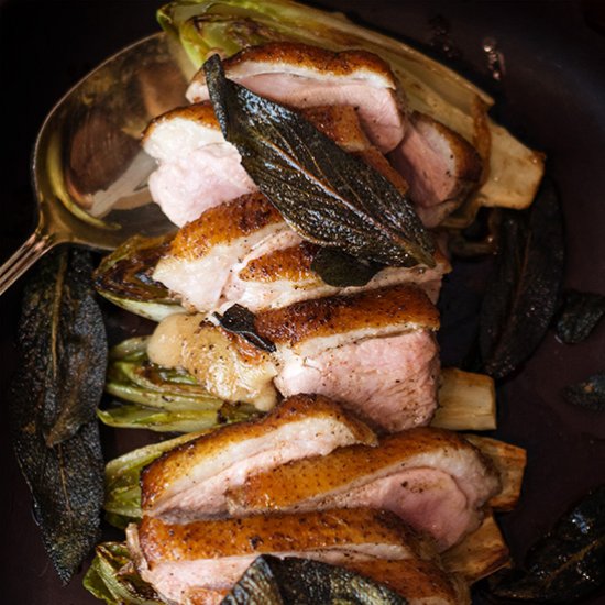 Seared Duck on Buttered Witlof