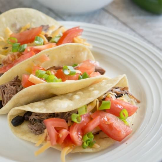 Shredded Beef Tacos