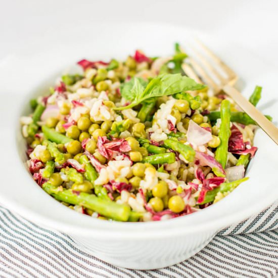 Arborio Rice with Peas & Asparagus