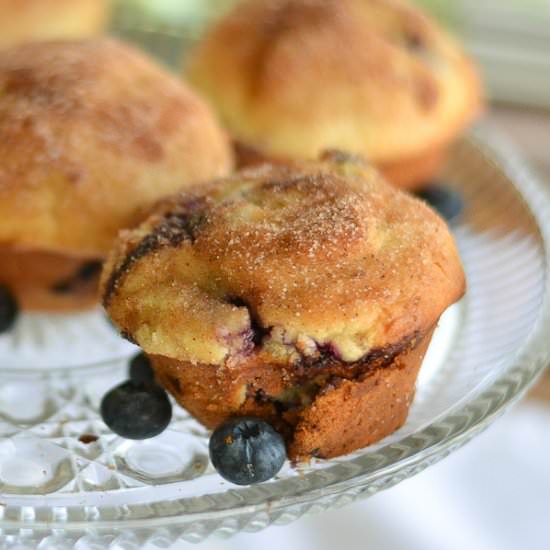 Blueberry Yogurt Muffins