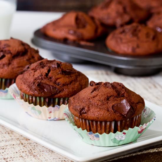 Double Chocolate Muffins