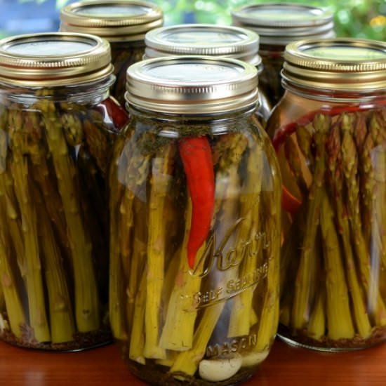 Canned Pickled Spicy Asparagus