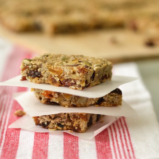 Sourdough Granola Bars