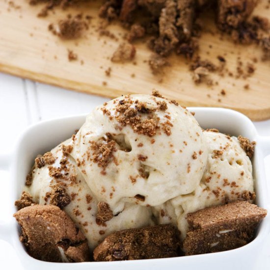 Broken Biscotti Vegan Ice Cream