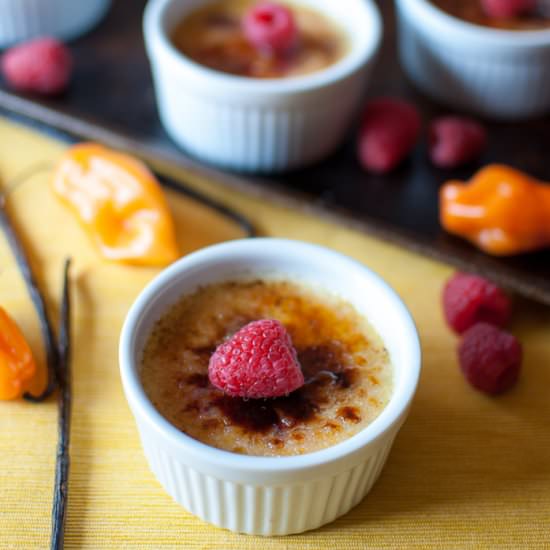 Habañero Crème Brûlée