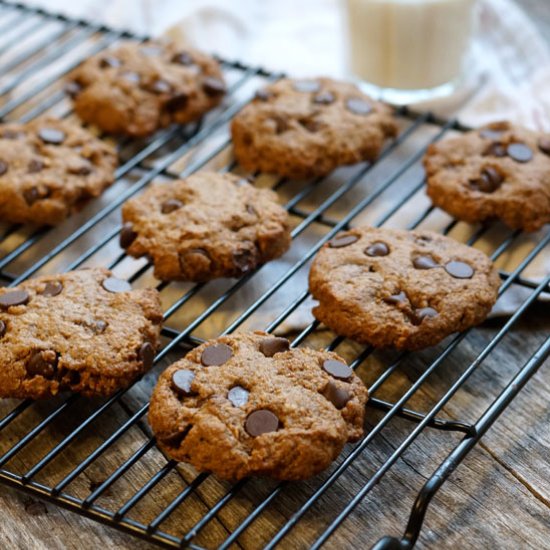 Vegan Lactation Cookies