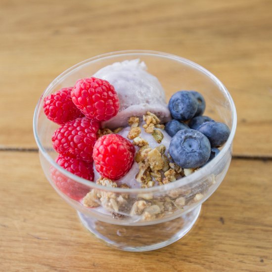 Blueberry Greek Fro-Yo