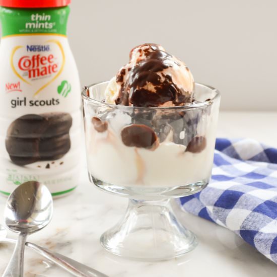 Thin Mint Hot Fudge Sauce