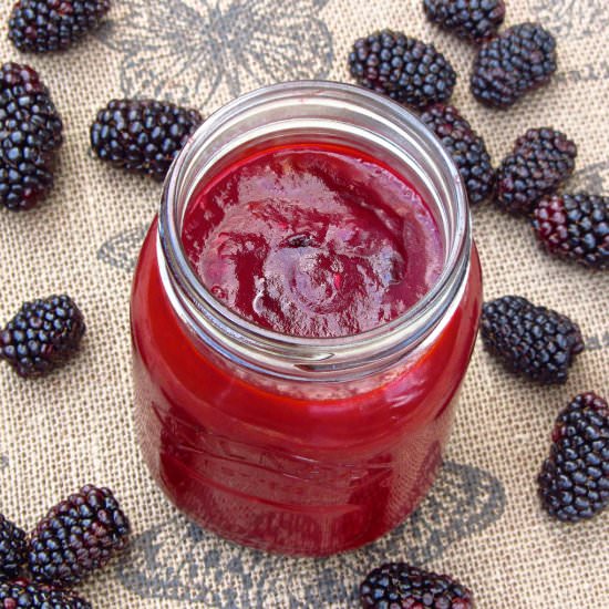 Blackberry BBQ Sauce