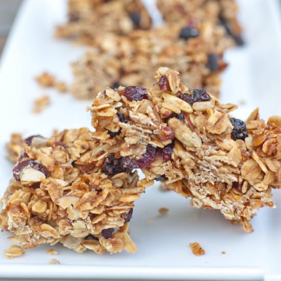 Vegan Friendly Granola Bars