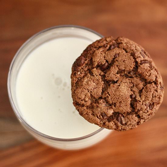 Grain Free Chocolate Chip Cookies