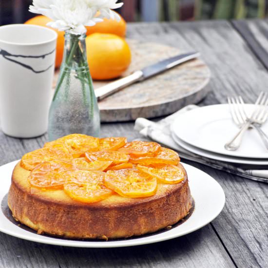 Mandarin and olive oil cake