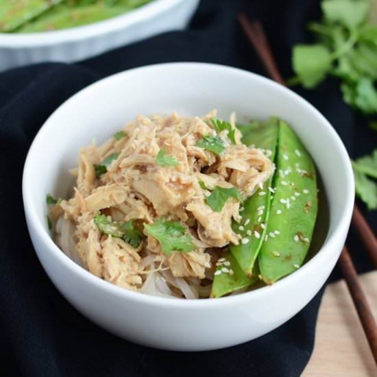 Crock-Pot Asian Chicken