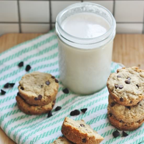 Vegan Chocolate Chip Muffins