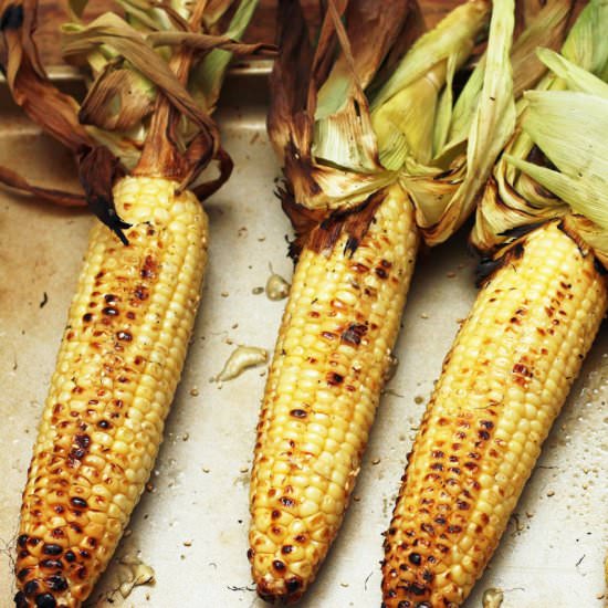 Grilled Corn + Miso Butter