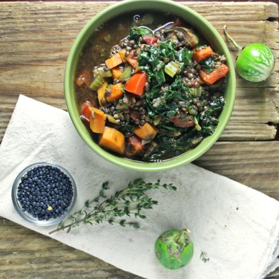 Black Beluga Lentil Soup