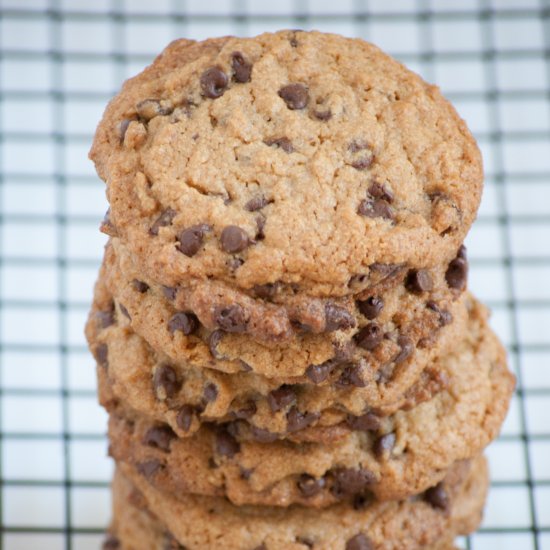 Peanut Butter Chocolate Chip Cookie