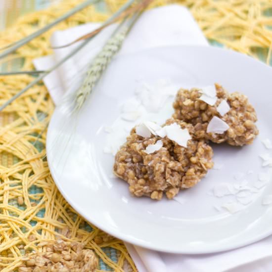 Coconut Granola No Bake Cookies