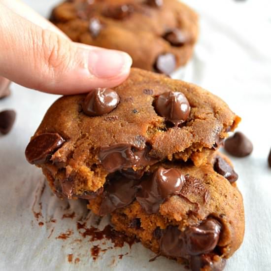 Pumpkin Chocolate Chip Cookies